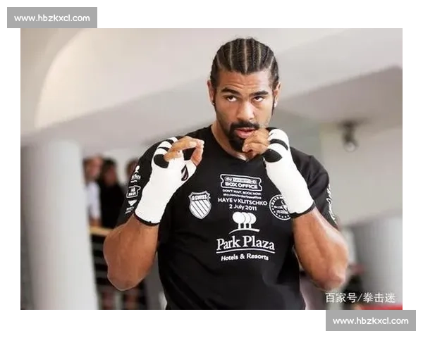 大卫海耶正面对决布里奇斯拳坛巅峰实力全面解析决战前景深度剖析