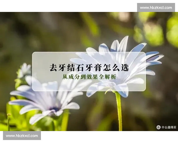 胜利与100线对比评测表现解析是否值得选择全面性能优缺点实测分析指南